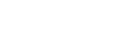 NetVoice